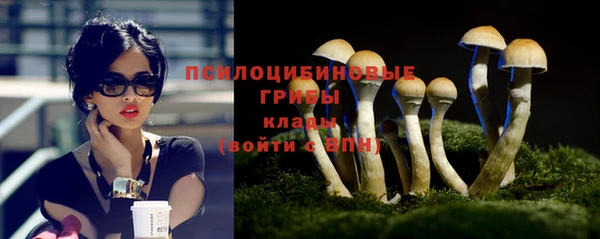 spice Абдулино