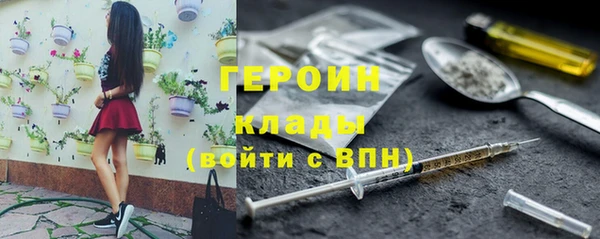 прущие грибы Абинск